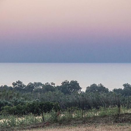 Villa Manoutsio Episkopi  ภายนอก รูปภาพ